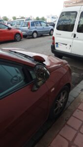 Retrovisor roto por el detenido en Albal.